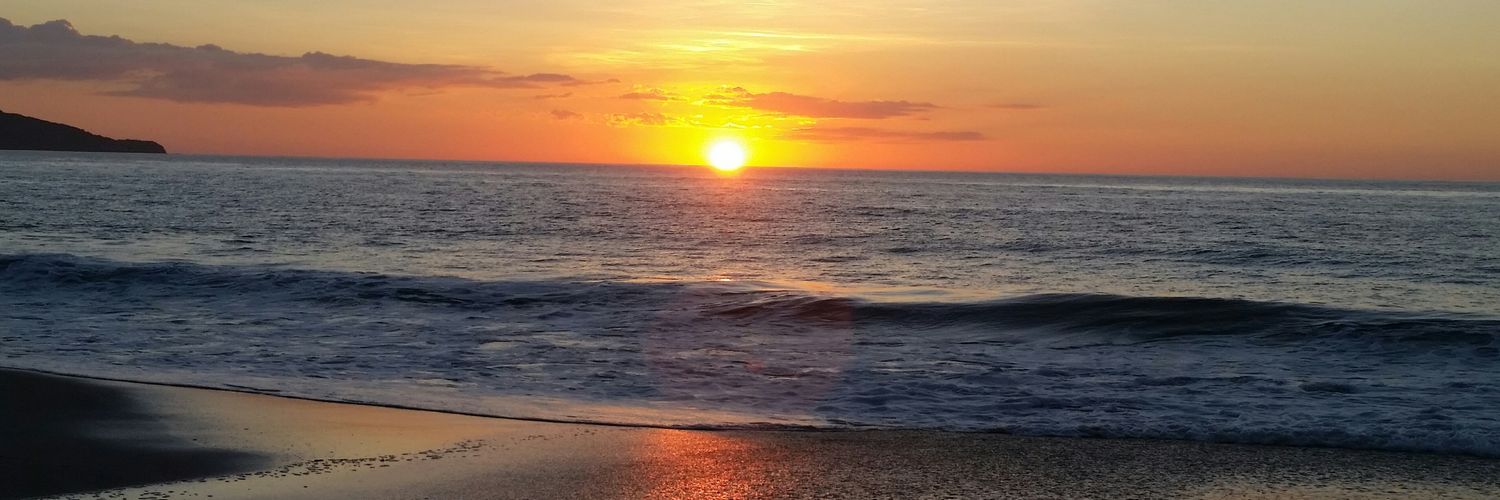 TDGARNES's profile banner image