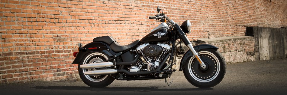 Esther E. Schmidt banner