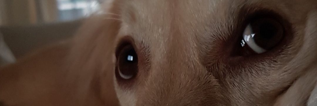 Gkcdem's profile banner image