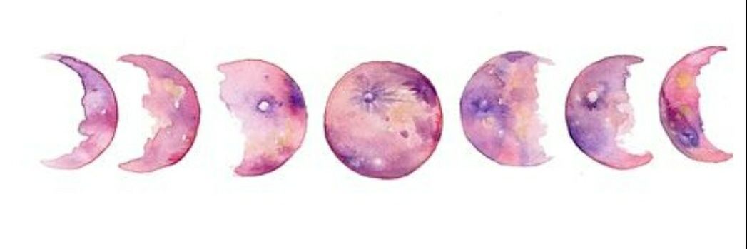 PinkkCactuss's profile banner image