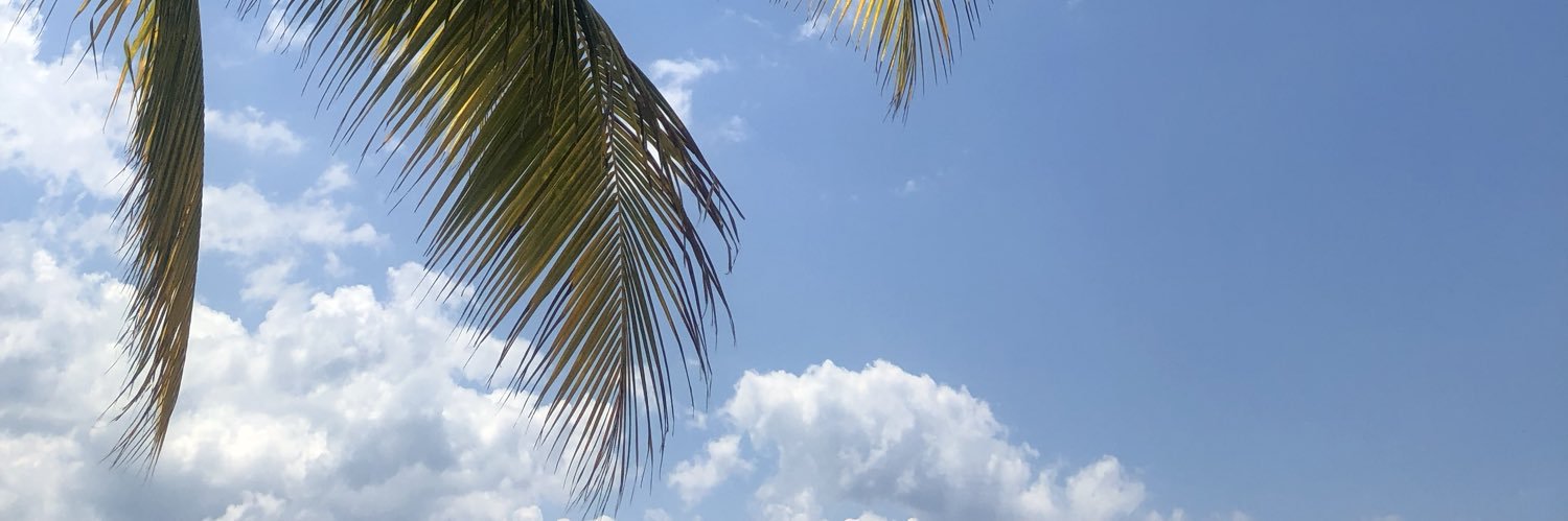 JimenezCheyanne's profile banner image