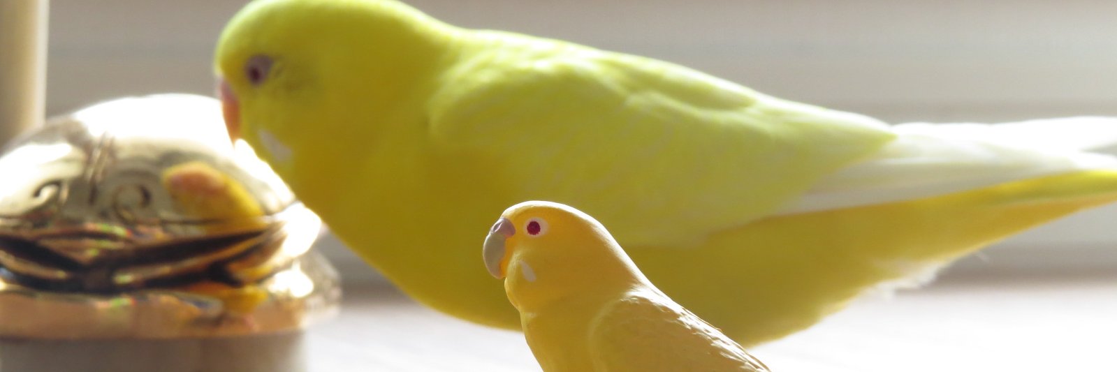 0_taco_0's profile banner image