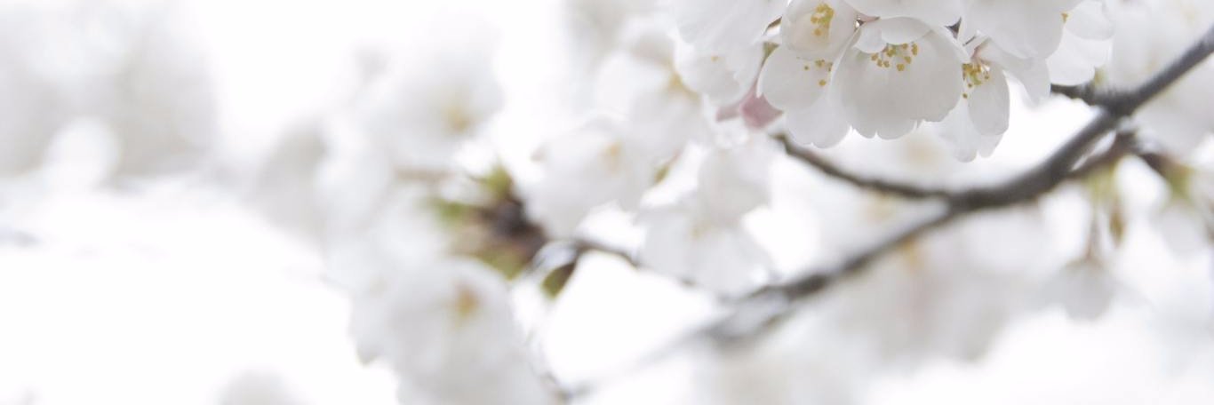 yeoja_killer's profile banner image