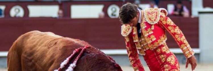 mar_tore's profile banner image