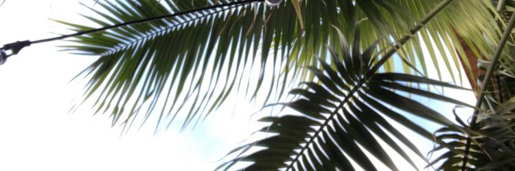bictorria's profile banner image