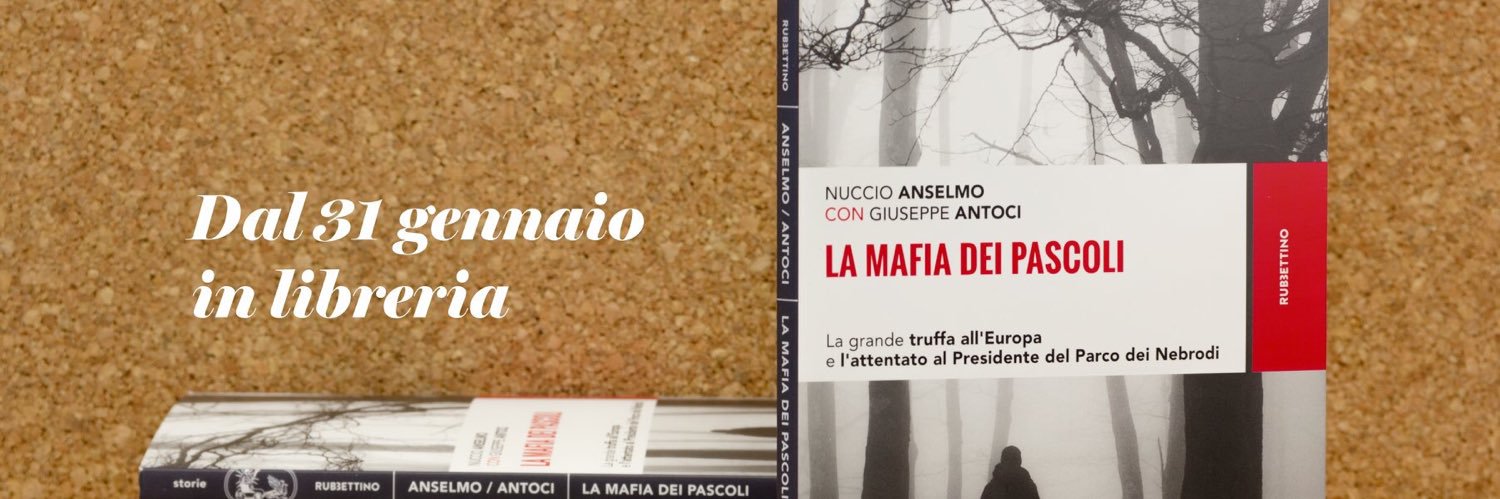NuccioAnselmo's profile banner image
