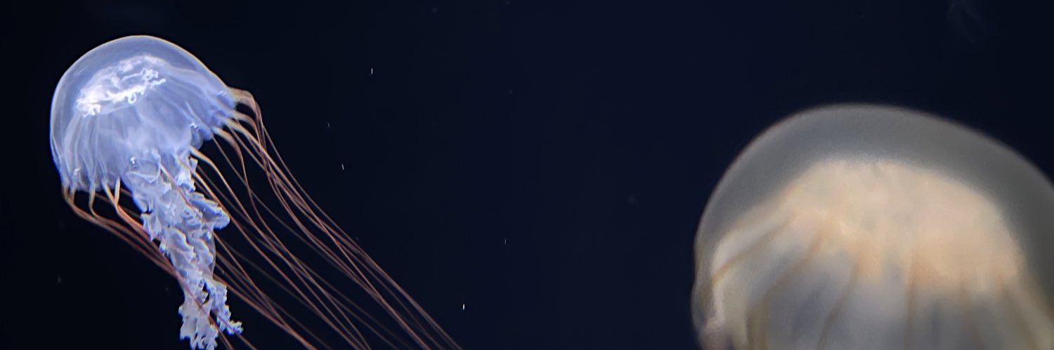 yui90827's profile banner image