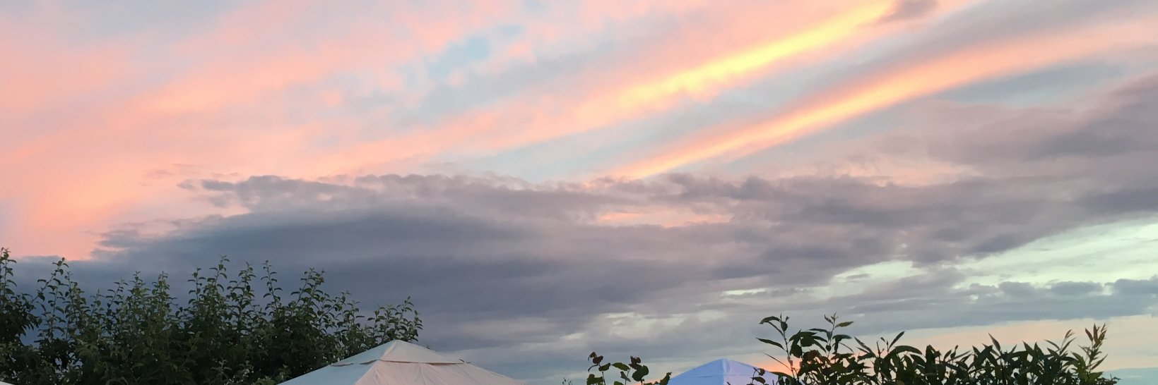 ingolehnick's profile banner image