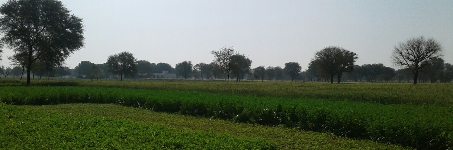 Dr. Ramdhan Choudhary banner