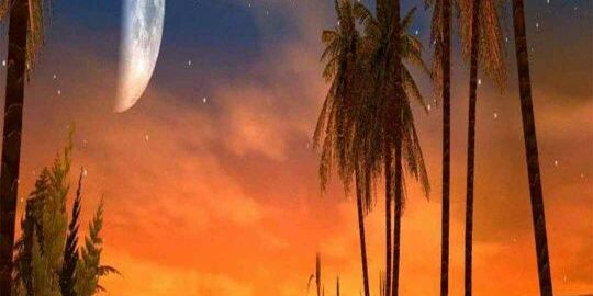 abu_mujtabaa's profile banner image