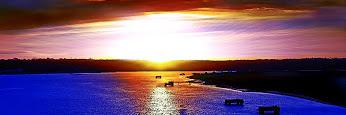silver_deri's profile banner image