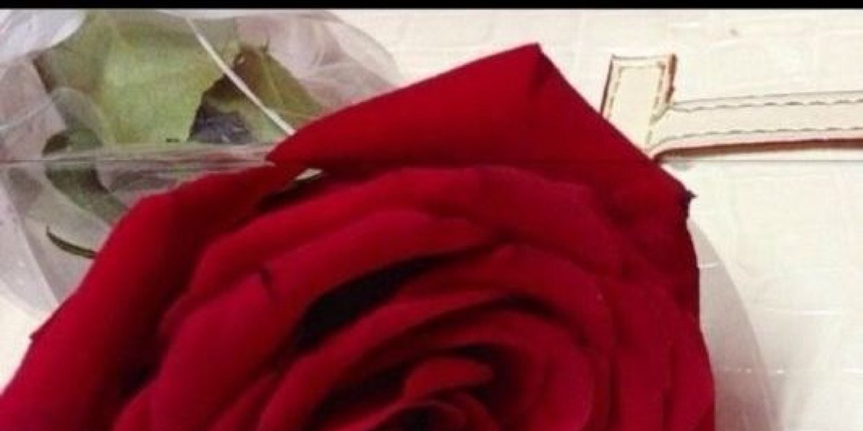 ساامي banner