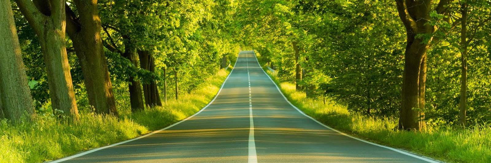 Jon Lever / DeLever banner