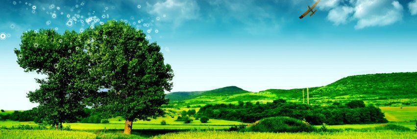 saunders_jr's profile banner image