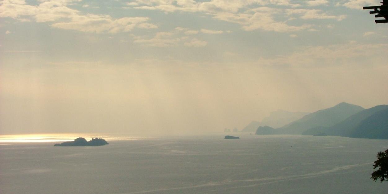 Adriana Vilardell banner