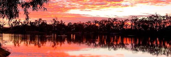 Bailey794 Profile Banner