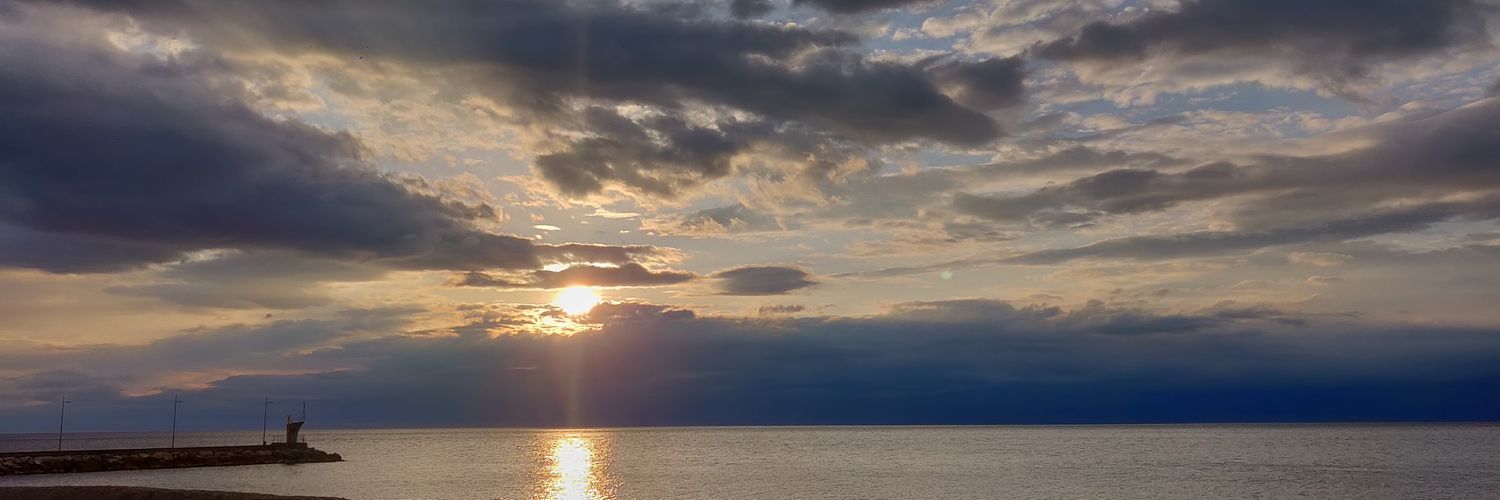 maggialexit's profile banner image