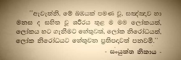 bniro Profile Banner