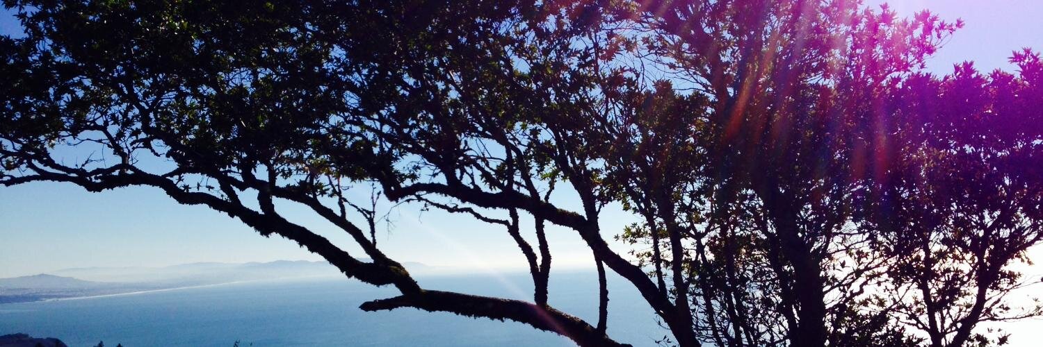 LauraGarofalo26's profile banner image