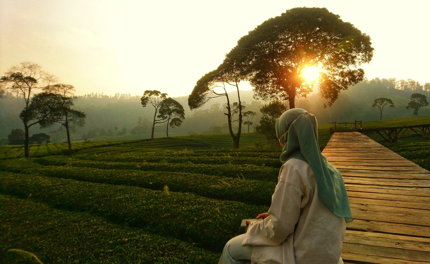 _NidaR's profile banner image