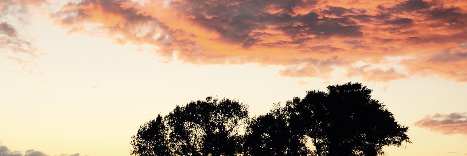 Nelson Milner banner