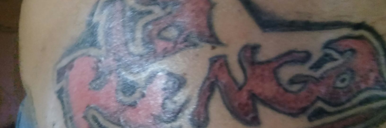 fernando gonzalez banner