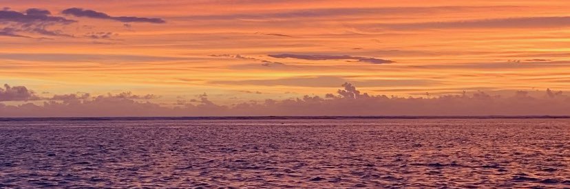 Marie_LeCoz's profile banner image