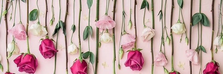 (⚘mazoon alharbi⚘) banner