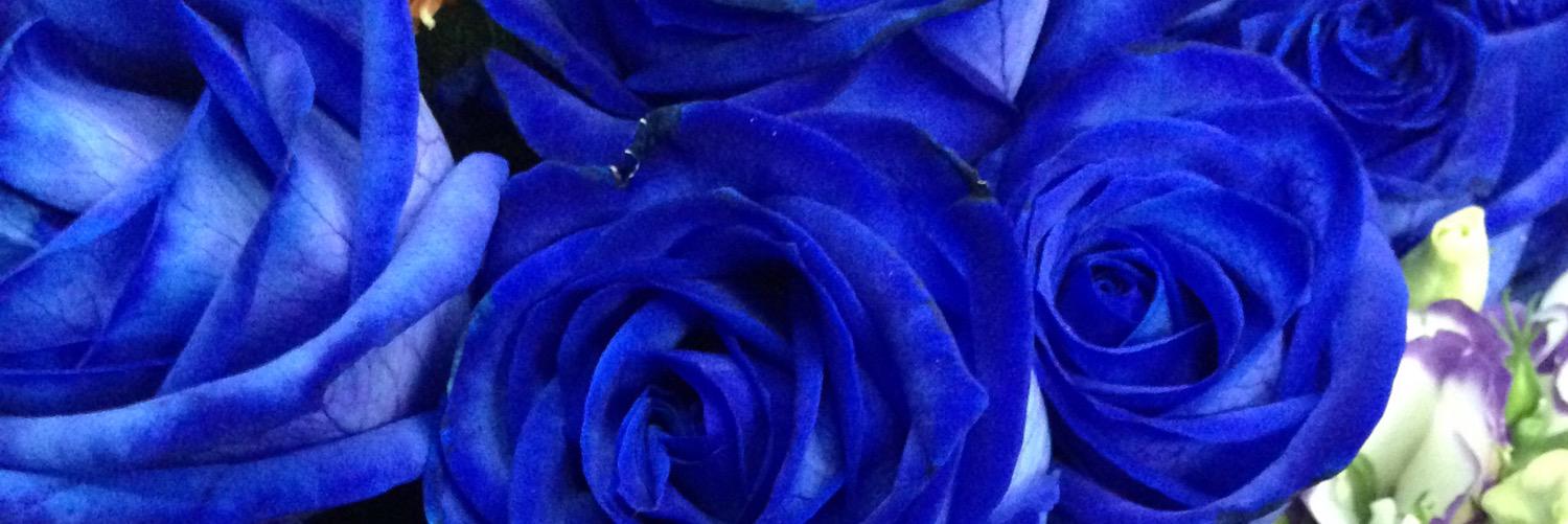 hannahbatbat's profile banner image
