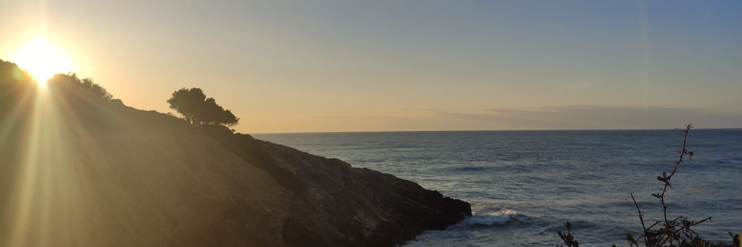 Ignasi Caldú banner