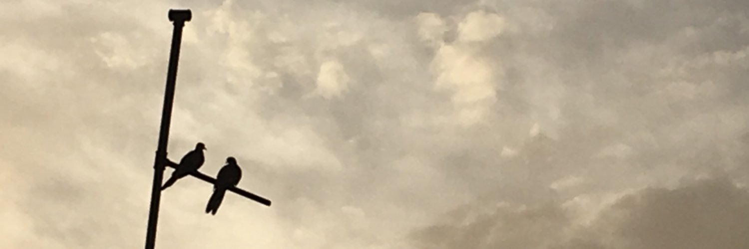 sultan_n7's profile banner image