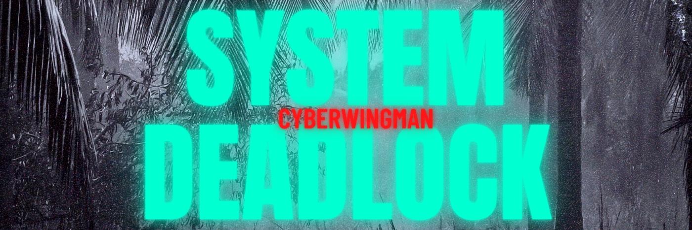 T̷h̴e̸ ̷C̴y̵b̷e̷r̴w̵i̴n̴g̵m̷a̸n̶ ̵ banner