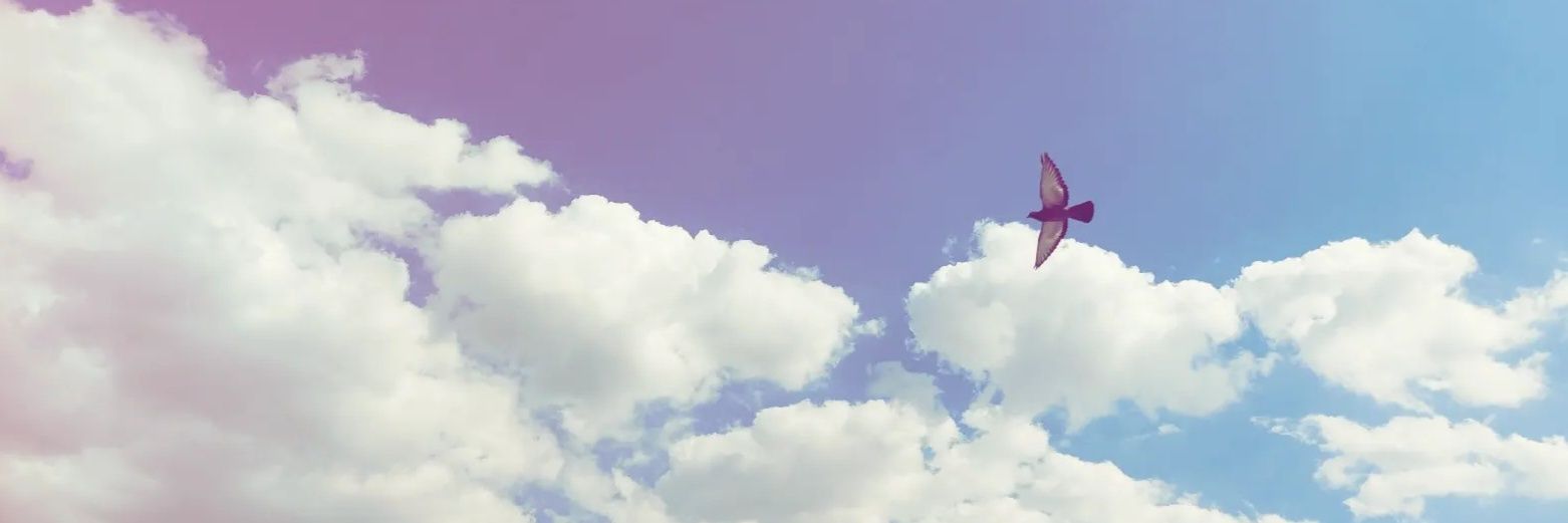 Begummaltayy's profile banner image