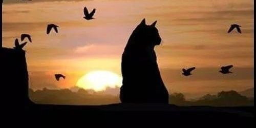 bikaCm's profile banner image
