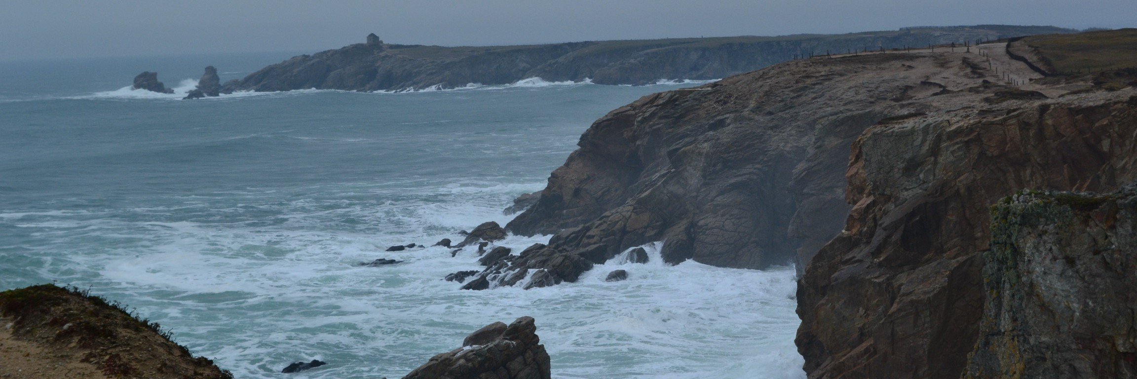 Oliveporte's profile banner image