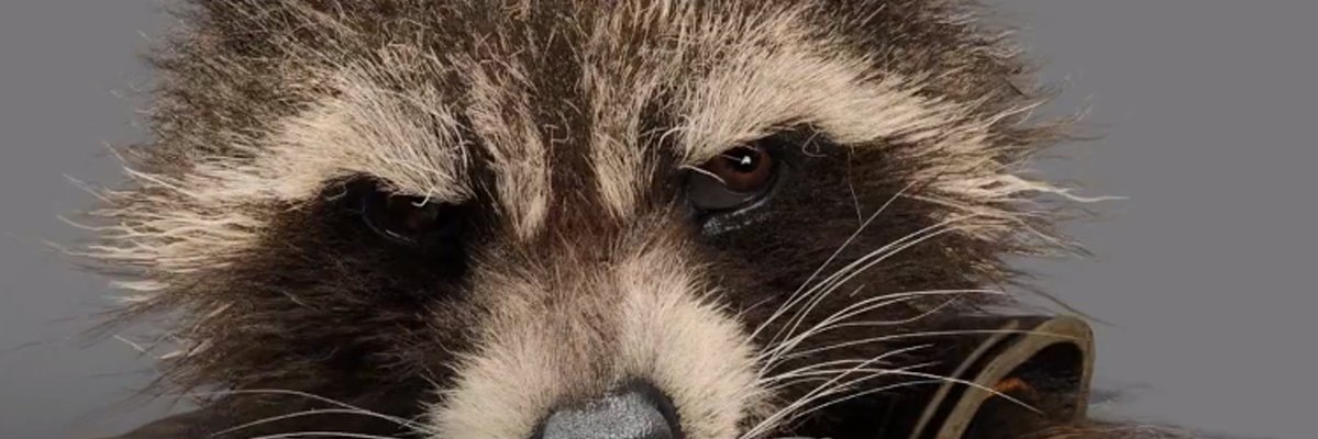 RandallFlagg09's profile banner image