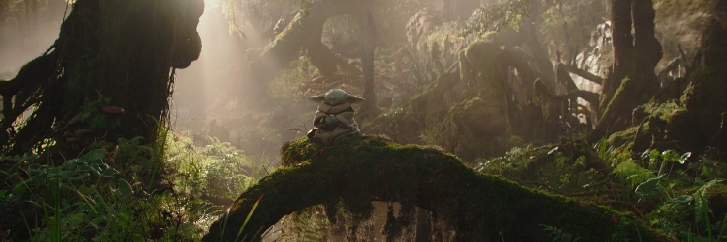 fernsfreckles's profile banner image