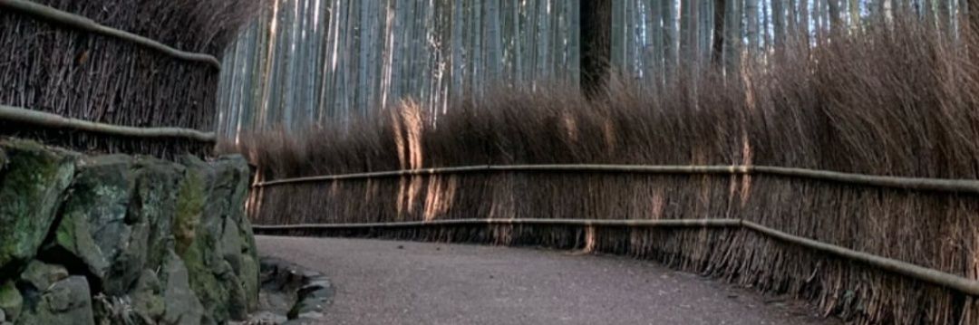 dewiyeey's profile banner image