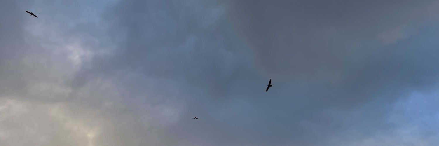 haize banner