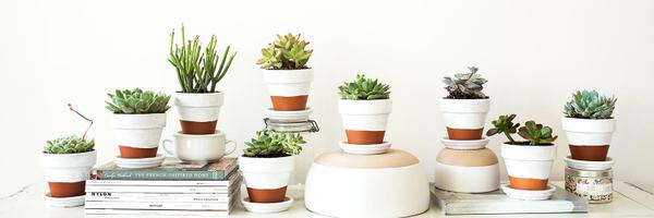 iamletz Profile Banner