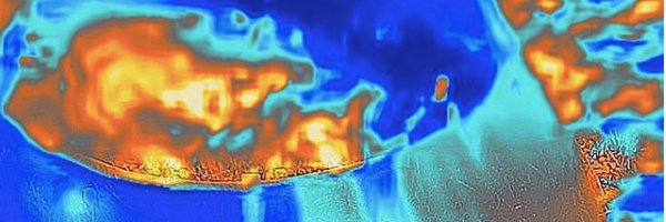 lauren buckley banner