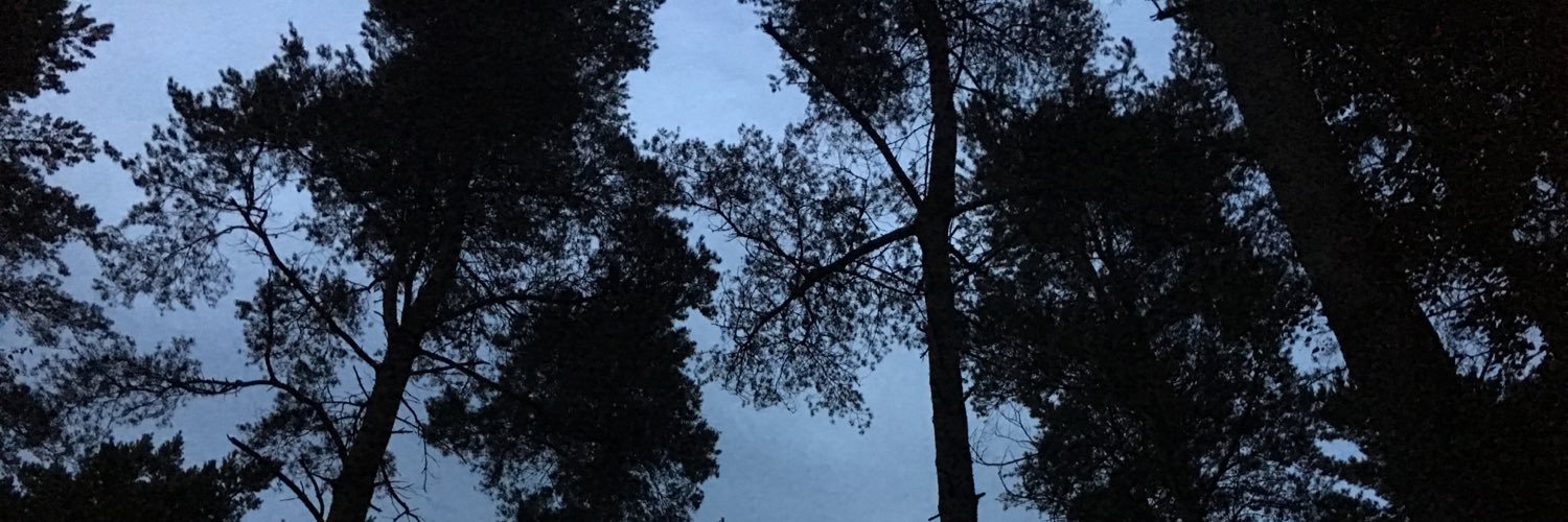 _larasimpson's profile banner image