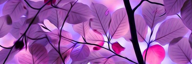 patchjover's profile banner image