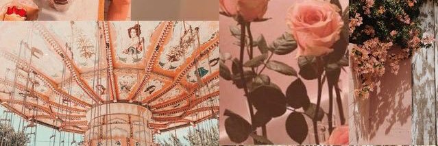mxgxpxtrx's profile banner image