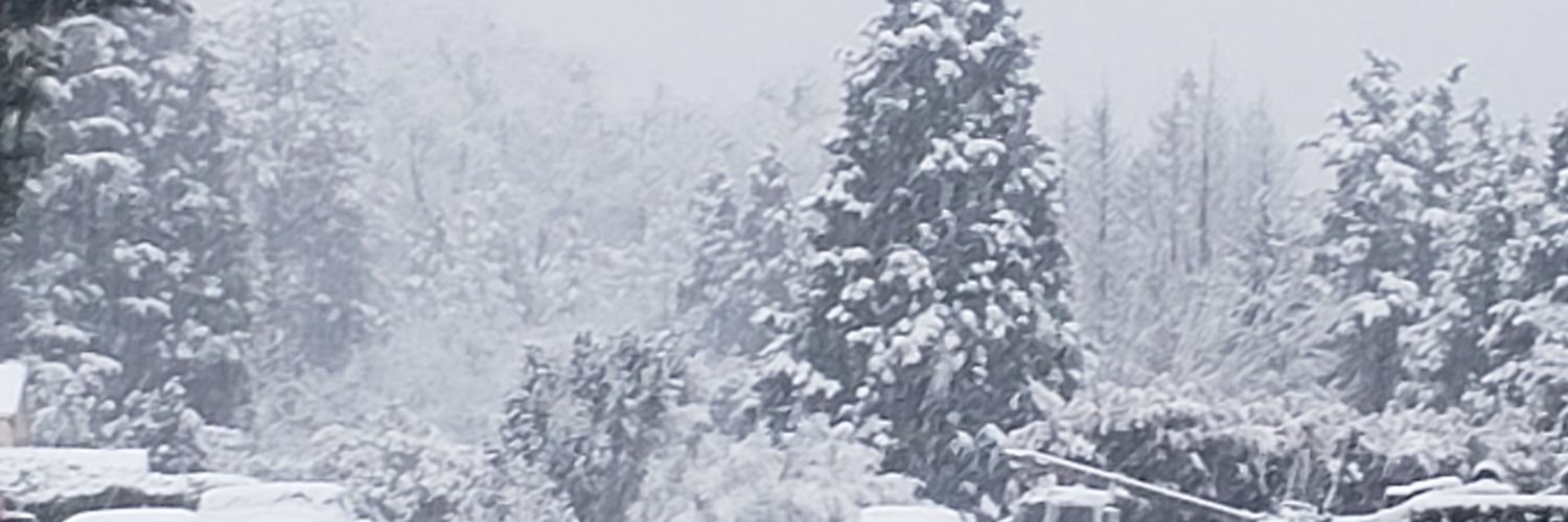 ScottyJ54's profile banner image