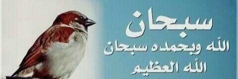 s_subaei's profile banner image