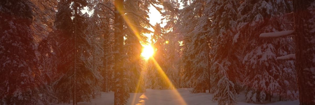 Josu_CV's profile banner image