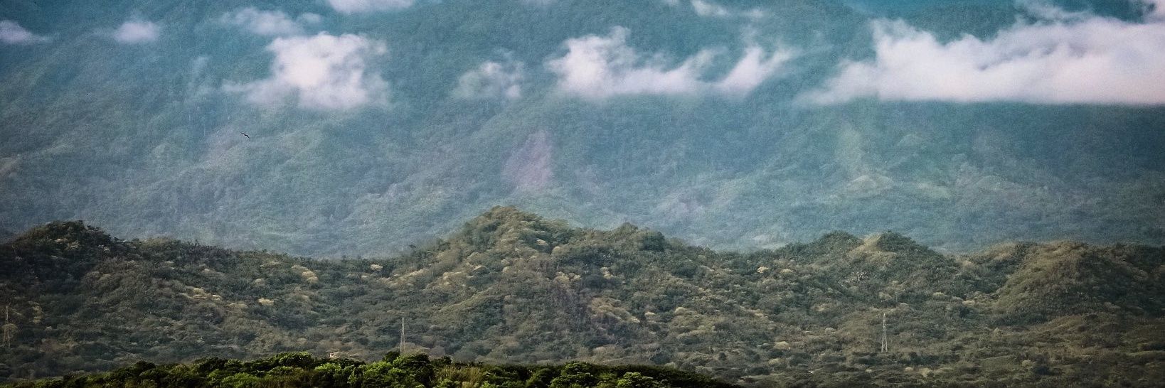 aLFrecoNRadO's profile banner image
