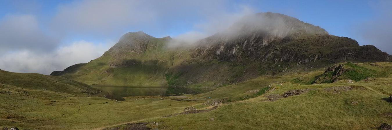 Tristan McCarthy banner