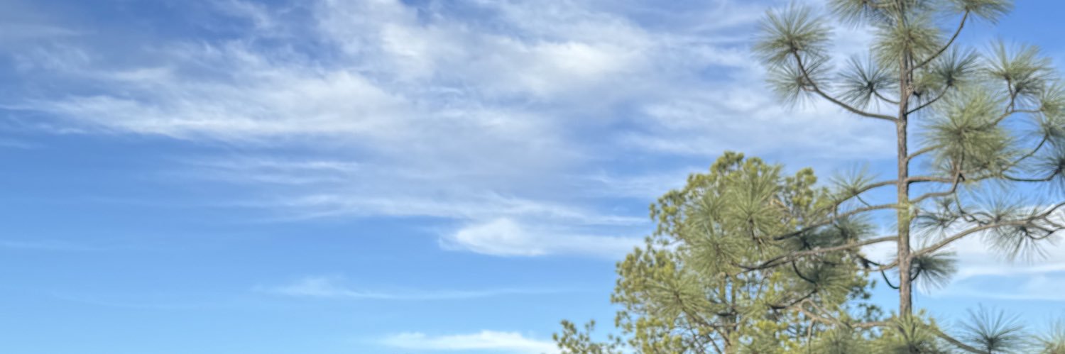 marianabeick's profile banner image